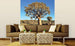 Dimex Namibia Fotobehang 225x250cm 3 banen Sfeer | Yourdecoration.be