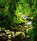 Dimex Stream Fotobehang 225x250cm 3 banen | Yourdecoration.be