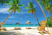 Dimex Tropical Beach Fotobehang 375x250cm 5 banen | Yourdecoration.be
