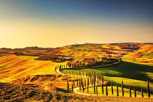 Dimex Tuscany Fotobehang 375x250cm 5 banen | Yourdecoration.be