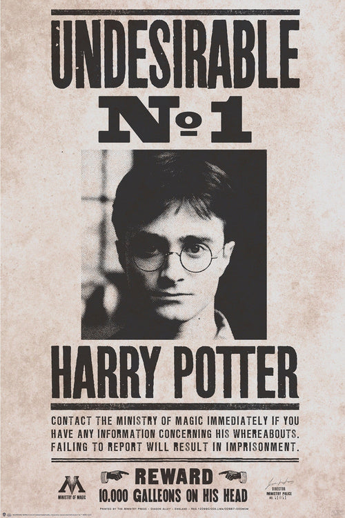 Gbeye Harry Potter Undesirable Nr 1 Poster 61X91 5cm | Yourdecoration.be