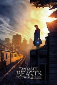 GBeye Fantastic Beasts One Sheet 2 Poster 61x91,5cm | Yourdecoration.be