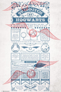 Gbeye Harry Potter Quidditch At Hogwarts Poster 61X91 5cm | Yourdecoration.be