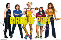 GBeye Birds of Prey Group Poster 91,5x61cm | Yourdecoration.be