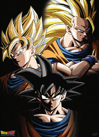 Gbeye GBYDCO092 Dragon Ball Goku Transformations Poster 38x52cm | Yourdecoration.be
