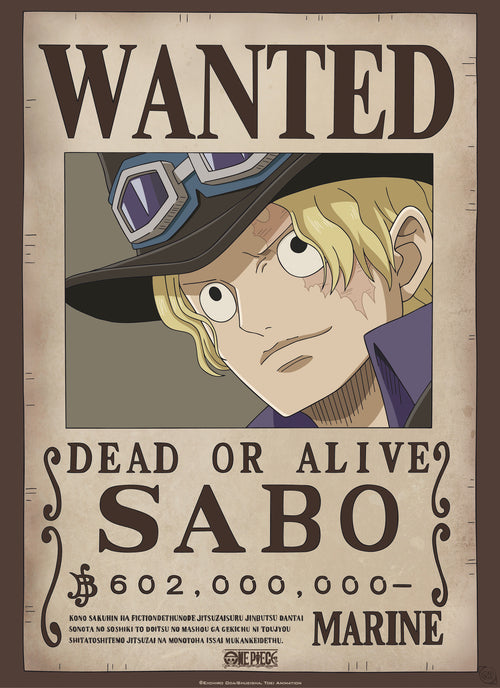 Gbeye Gbydco260 One Piece Wanted Poster 38x52cm | Yourdecoration.be