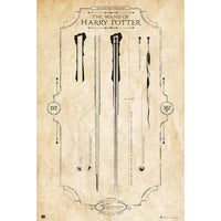 Grupo Erik GPE5161 Harry Potter The Wand Poster 61X91,5cm | Yourdecoration.be