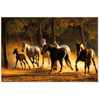 Grupo Erik GPE5532 Andalusian Horses Poster 91,5X61cm | Yourdecoration.be