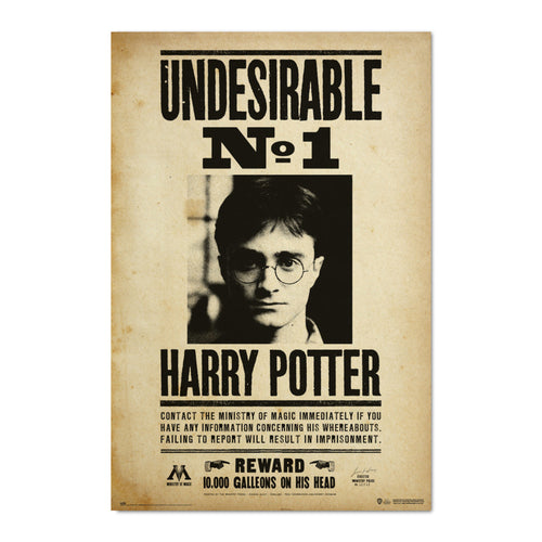 Grupo Erik Gpe5607 Poster Harry Potter Undesirable N1 | Yourdecoration.be