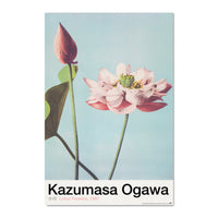 Grupo Erik Gpe5630 Poster Lotus Flowers By K Ogawa | Yourdecoration.be