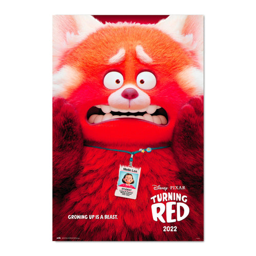 Grupo Erik Gpe5640 Pixar Turning Red Poster 61X91 5cm | Yourdecoration.be
