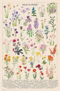 Grupo Erik Gpe5675 Botanical Wild Flowers Poster 61x91 5cm | Yourdecoration.be