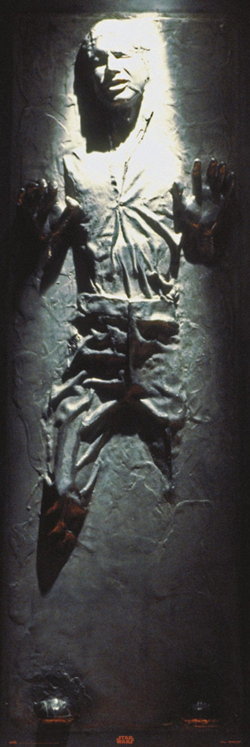 Grupo Erik PPGE8068 Star Wars Han Solo Carbonite Poster 53X158cm | Yourdecoration.be