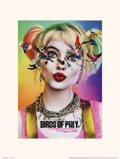 Grupo Erik Birds Of Prey Dazed And Confused Kunstdruk 30X40cm | Yourdecoration.be