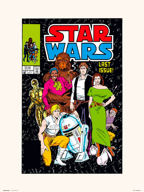 Grupo Erik Star Wars 107 All Together Now Kunstdruk 30X40cm | Yourdecoration.be