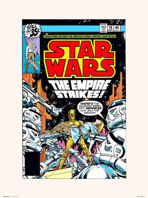 Grupo Erik Star Wars 18 The Empire Strikes Kunstdruk 30X40cm | Yourdecoration.be