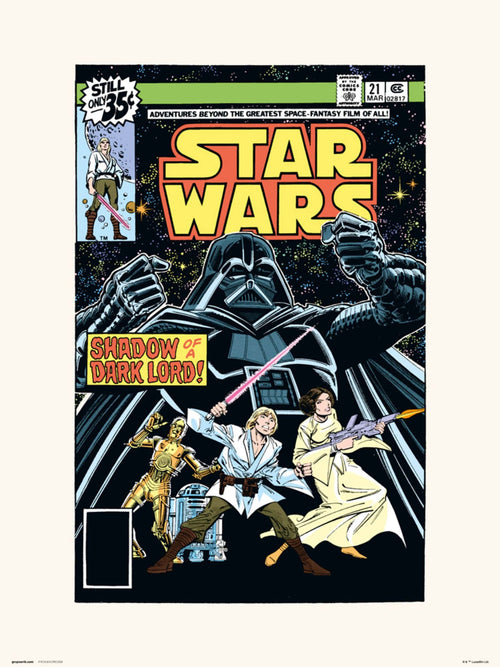 Grupo Erik Star Wars 21 Shadow Of A Dark Lord Kunstdruk 30X40cm | Yourdecoration.be