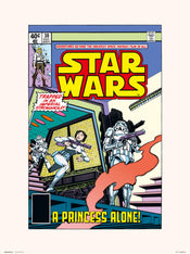 Grupo Erik Star Wars 30 A Princess Alone Kunstdruk 30X40cm | Yourdecoration.be