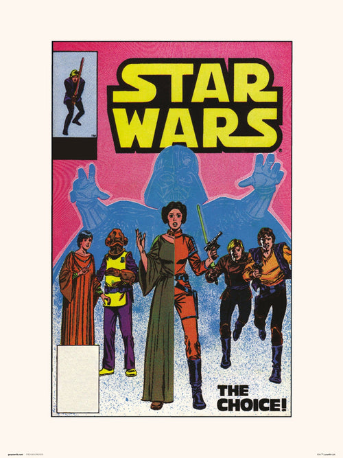 Grupo Erik Star Wars 90 The Choice Kunstdruk 30X40cm | Yourdecoration.be