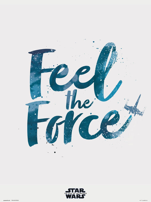 Grupo Erik Star Wars Episode Ix Feel The Force Kunstdruk 30X40cm | Yourdecoration.be