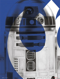 Grupo Erik Star Wars Episode Ix R2 D2 Kunstdruk 30X40cm | Yourdecoration.be