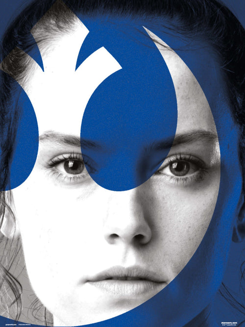 Grupo Erik Star Wars Episode Ix Rey Kunstdruk 30X40cm | Yourdecoration.be