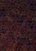 Komar Lotus Vlies Fotobehang 200x280cm 4 banen | Yourdecoration.be