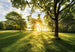 Komar Vlies Fotobehang 8 743 Golden Moment | Yourdecoration.be