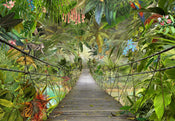 Komar Vlies Fotobehang 8 977 Wild Bridge | Yourdecoration.be