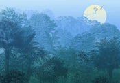 Komar Vlies Fotobehang Inx8 052 Deep In The Jungle | Yourdecoration.be