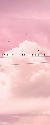 Komar Cloud Wire Vlies Fotobehang 100x250cm 1 baan | Yourdecoration.be