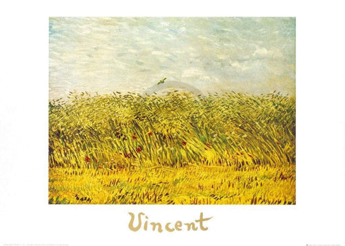 Vincent Van Gogh   The Wheat Field Kunstdruk 70x50cm | Yourdecoration.be