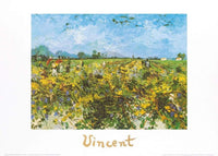 Vincent Van Gogh   The Green Vineyard Kunstdruk 70x50cm | Yourdecoration.be