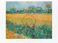 Vincent Van Gogh   Vista di Arles Con Irises Kunstdruk 80x60cm | Yourdecoration.be