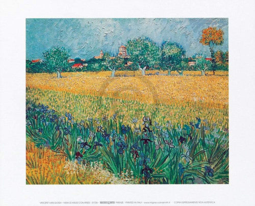 Vincent Van Gogh   Vista di Arles Con Irises Kunstdruk 30x24cm | Yourdecoration.be