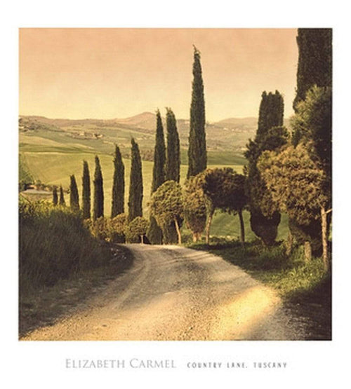 Elisabeth Carmel   Country Lane, Tuscany Kunstdruk 45x50cm | Yourdecoration.be