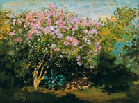 Claude Monet   BlÃ¼hender Flieder in der Sonne Kunstdruk 80x60cm | Yourdecoration.be