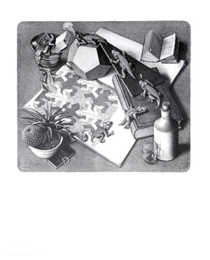 M. C. Escher   Reptilien Kunstdruk 55x65cm | Yourdecoration.be