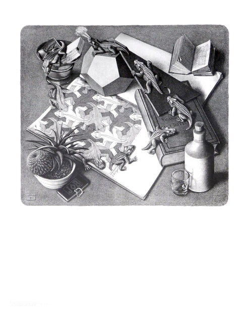 M. C. Escher   Reptilien Kunstdruk 55x65cm | Yourdecoration.be