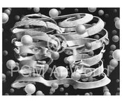 M. C. Escher   Band ohne Ende Kunstdruk 65x55cm | Yourdecoration.be