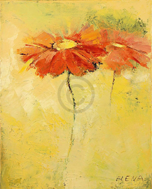 Elena Filatov   Feldblumen I Kunstdruk 40x50cm | Yourdecoration.be