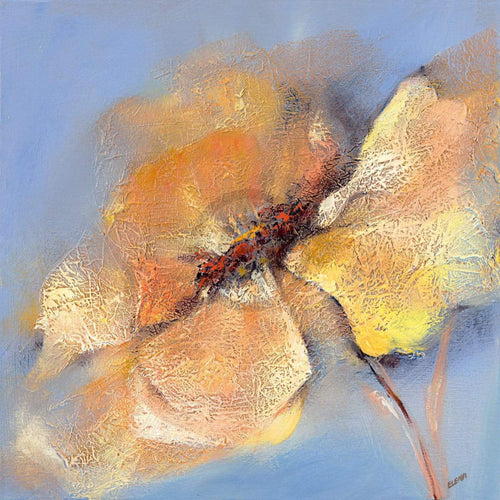 Elena Filatov   Bright Anemone I Kunstdruk 50x50cm | Yourdecoration.be