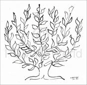 Henri Matisse   Le platane Kunstdruk 100x100cm | Yourdecoration.be