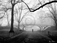 Henri Silberman   Gothic Bridge, Central Park NYC Kunstdruk 80x60cm | Yourdecoration.be