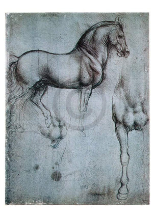 Leonardo Da Vinci   Studio di cavalli Kunstdruk 35x50cm | Yourdecoration.be
