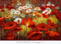 Lucas Santini   Meadow Poppies II Kunstdruk 91x66cm | Yourdecoration.be