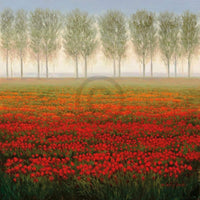 Park   Morning Mist Kunstdruk 68x68cm | Yourdecoration.be