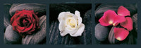 Laurent Pinsard   Roses on stones Kunstdruk 95x33cm | Yourdecoration.be