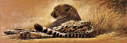 Renato Casaro   Little rest Kunstdruk 99x34cm | Yourdecoration.be