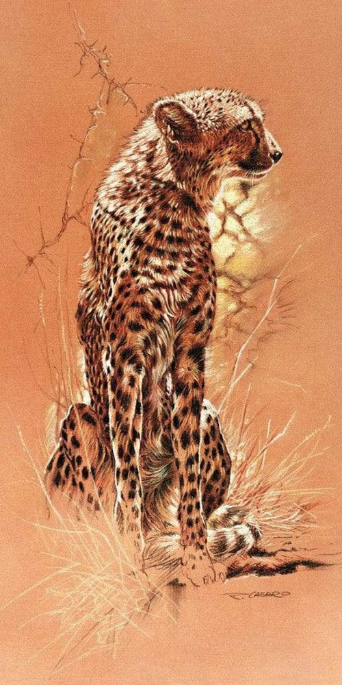 Renato Casaro   Cheetah Kunstdruk 50x100cm | Yourdecoration.be